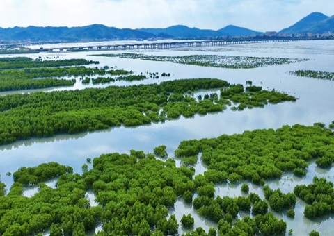 广东宣布生态产品目录清单指引