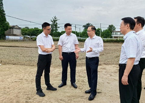 胡云赴眉山调研耕地保；；；；；；；な褂煤透弑曜寂┨锝ㄉ枋虑