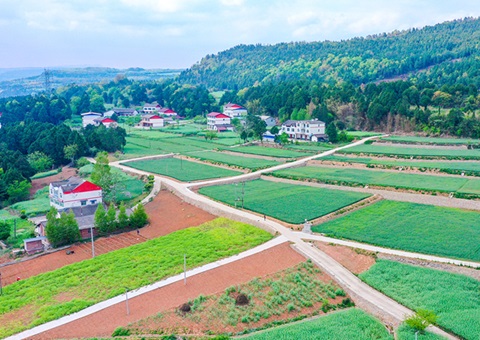 广元市推行“卫星田长”科技助力精准；；；；；；；じ