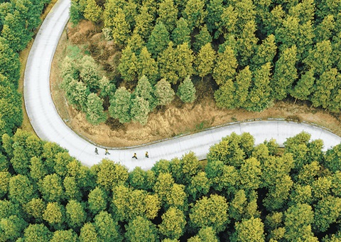 重庆市周全深化林权挂号制度刷新    助力林地“绿色资源”向黎民“金色财产”转变