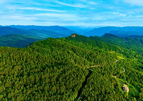 四川宣布第4号总林长令  周全深化整体林权制度刷新