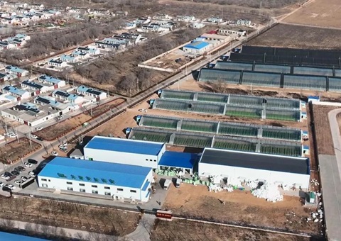 成交金额8416.32万元   宁夏探索出农村整体谋划性建设用地入市新路径