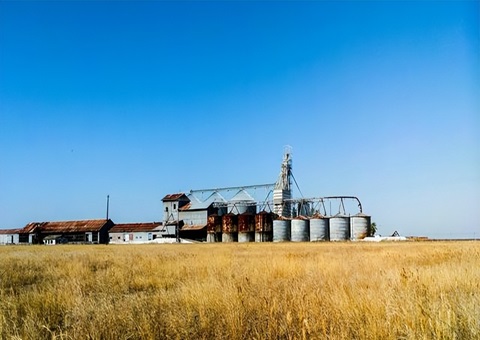 四川省内江市资中县多向发力推进“天府森林粮库建设