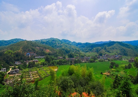 江西省赣州市石城县：紧扣“三提三用”事情主线 铸造自然资源铁军