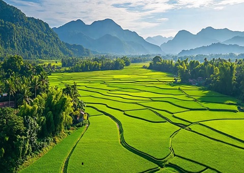 “自然资源+税务”协同共治！崇左筑牢耕地；；；；；び胨笆铡八赖亍