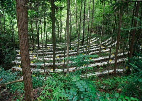 江西森林可一连谋划：开创生态美工业兴黎民富协同生长新时势