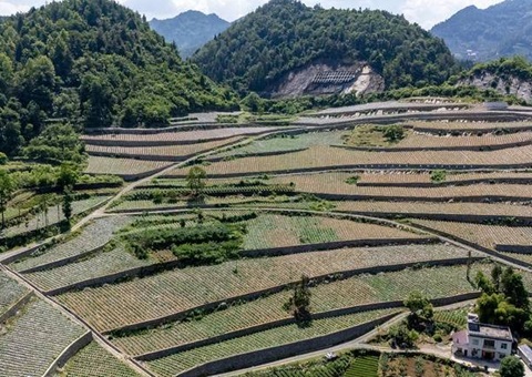 “三资”刷新激活“三荒”资源    湖北宣恩蹚出生态价值转化新路径