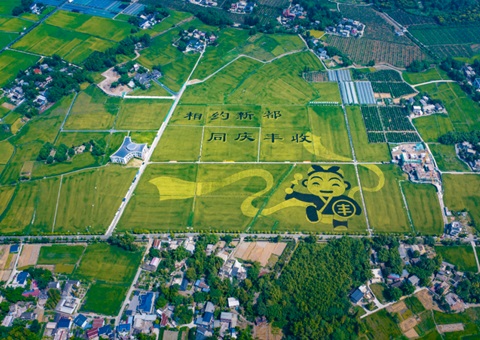 成都宣布耕地；；；；；；；ね耄∥蠢10年这样筑牢“天府粮仓”基本