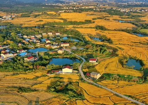 四川出台政策性金融支持全域土地综合整治事情的通知