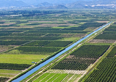 广西强化暂时用地土地复垦羁系<br>勉励土地复垦计划审查和暂时用地审批并联办理