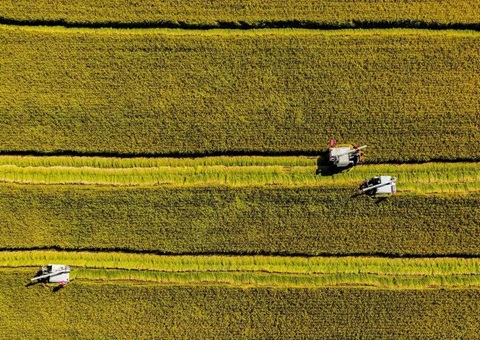 辽宁省耕地地力保唬；；；；そ蛱曜汲鎏