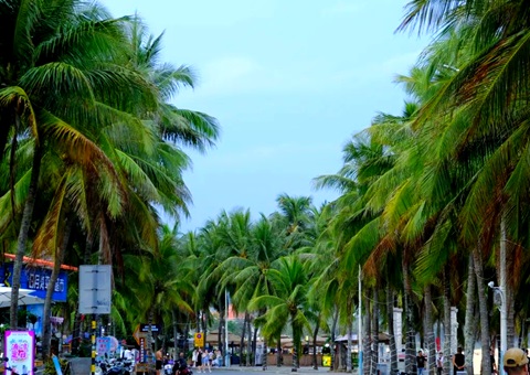 建“清凉都会”，，，，，海南有何“凉方”?