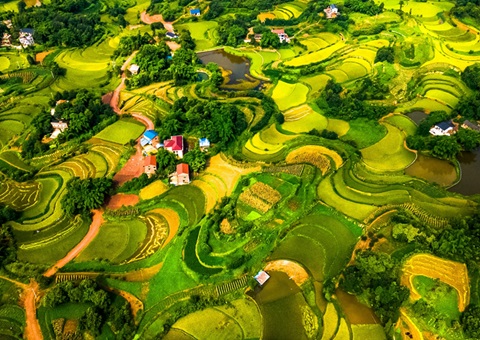 @农民朋侪 2025年重庆市耕地地力保唬；；；；；；そ蛱苹戳