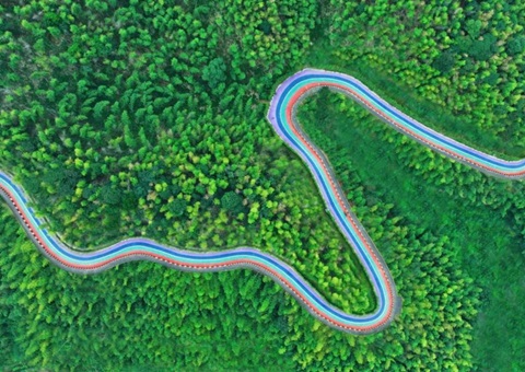 组合供应出新招，，，，，，竹海收益节节高——桃江县“桃花江竹海”自然资源资产组合供应推动生态产品价值实现案例