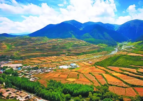 青海省自然资源厅出台墟落地区“通则式”妄想手艺治理划定    推动全省墟落地区妄想治理全笼罩