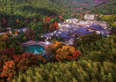 浙江：森林公园生态旅游怎样高质量生长？？？？？？？？